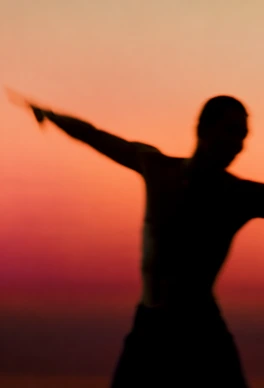 A silhouette pointing toward the horizon at dusk